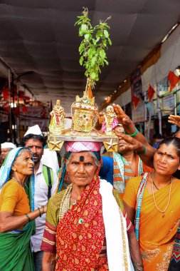 Pune, Maharashtra, Hindistan, Temmuz 2017, kadın kutsal fesleğen veya tulasi vrindavan kafasına Pandarpur yatra sırasında taşır