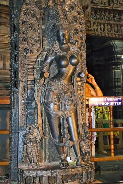 Mohini Стовп Mavinga Красиві Staue Mohini Жіночої Форми Вішну Chennakeshava — стокове фото