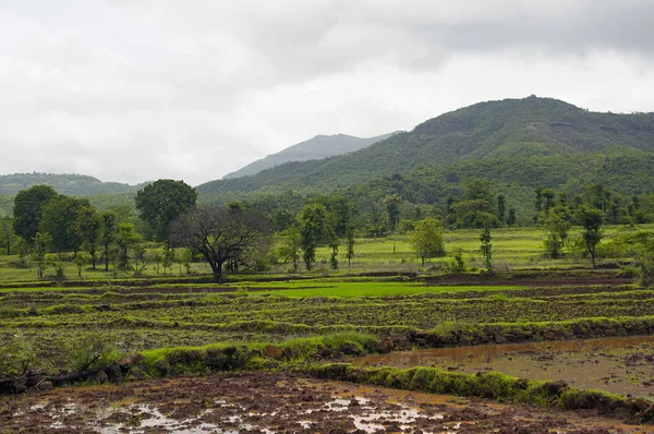 Eine Landschaft Aus Feldern Mit Bergkulisse Indien — Stockfoto