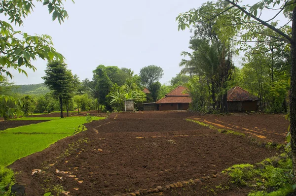 Pemandangan Rumah Pertanian Konkan Maharashtra India — Stok Foto