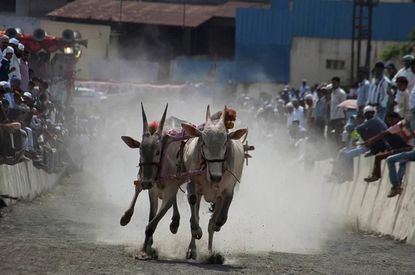 Maharashtra Inde Avril 2014 Les Gens Aiment Les Courses Traditionnelles — Photo