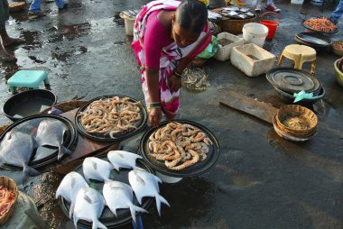 Konkan balık pazarında Harney, Maharashtra, Hindistan, Ocak 2015, yerel satıcı kadın