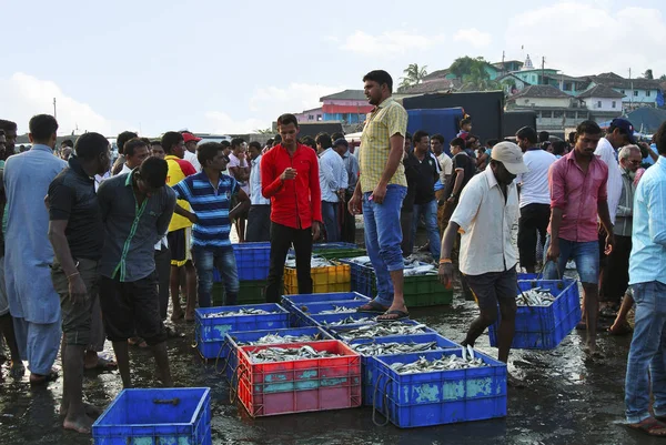 Harney Maharashtra Indien Januari 2015 Personer Fiskmarknad Konkan Region — Stockfoto