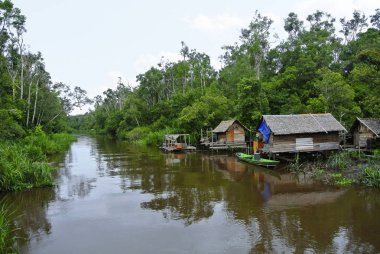 Riverside köyü Sekonyer nehir, Endonezya. Sekonyer Güney Borneo bir nehirdir. Nehir parçası Tanjung Puting Milli Parkı erişir. Seyahat Nehri üzerinde genellikle klotok riverboat tarafından yapılır