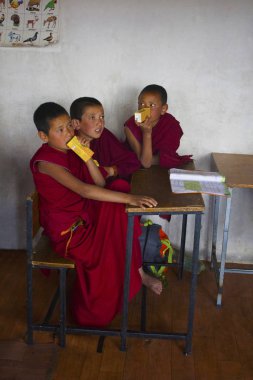 Jammu ve Keşmir, Hindistan, Temmuz 2016, öğrencilerin Thiksey Manastırı