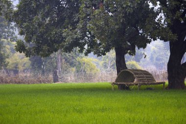 Alanlar ve machan yakınındaki bandhavgarh, Bandhavgarh kaplan rezerv sınırı, Madhya Pradesh, Hindistan