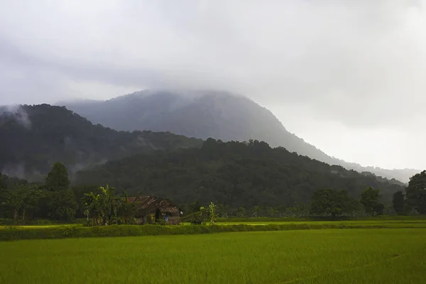 インドのカルナタカ州から Sharavathi で緑の国 — ストック写真