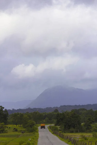 Road Sharavathi Wildlife Sanctuary Karnataka State India — Stock Photo, Image