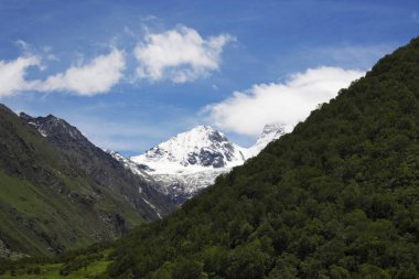 Kar dağ tepe, çiçek Vadisi, Uttarakhand Hindistan Devlet şapkalı