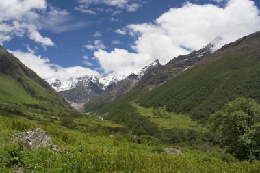 Çiçek Vadisi Milli Parkı Batı Himalaya, Uttarakhand eyaletinde yer alan bir Hint Milli Parkı ve endemik alp çiçek ve flora çeşitli onun meadows için bilinir