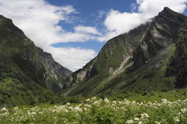 Çiçek Vadisi Milli Parkı Batı Himalaya, Uttarakhand eyaletinde yer alan bir Hint Milli Parkı ve endemik alp çiçek ve flora çeşitli onun meadows için bilinir