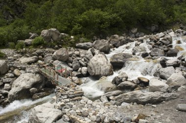 Küçük ahşap köprü üzerinden bir dere, Uttarakhand devlet Hindistan
