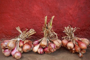 Demet taze soğan bir çiftlik Goa