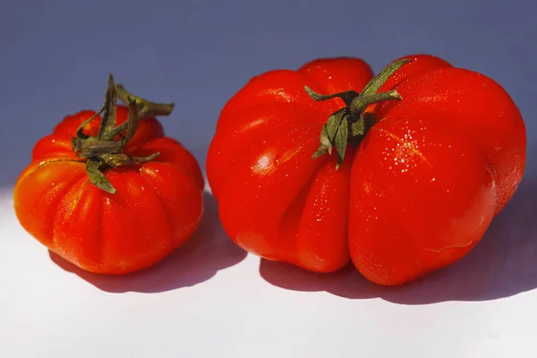 Tabel Top Foto Van Thuis Geteelde Tomaten — Stockfoto