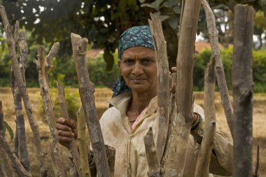 Maharashtra, Hindistan, Mayıs 2012, çiftçi kadın alanı.