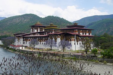 Pungtang Dechen Photrang Dzong veya Sarayı büyük mutluluk. Daha yakından görünümü. Yönetim Merkezi. Punakha Dzong, Bhutan