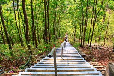Cennet, yemyeşil yeşil ağaçlar ve Ban Huai Sakae, Phetchabun Tayland mağarada bir Budist tapınak için bir merdiven merdiven