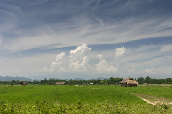 Casa Assamese Vicino Fiume Brahmaputra Assam India — Foto Stock