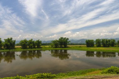 Waterbody ve bambu ağaçlarıyla Brahmaputra Nehri, Assam, Hindistan yakın:
