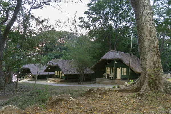 Jungle Lodges Resort Forest Camp Kabini Karnataka India — Stock Photo, Image