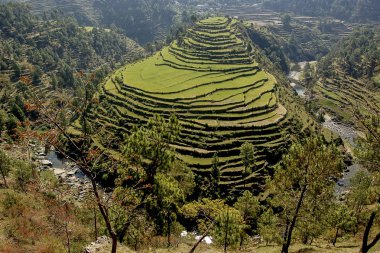 Teras alanları kuşkular, havadan görünümü, Uttarakhand devlet Hindistan