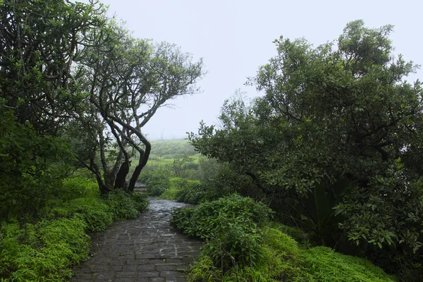 Walking track seen from Sinhagad fort, Maharashtra, Pune.