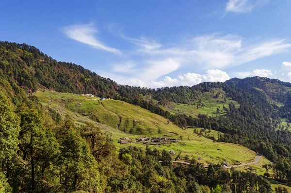 Prateria di Chopta, Garhwal, Uttarakhand, India . — Foto Stock