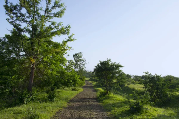 Percorso a piedi, vicino alle colline Swaminarayan, Pune, Maharashtra, India . — Foto Stock