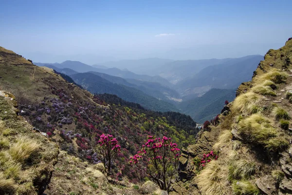 Barvité údolí viděné z Tungnath Peak, Garhwal, Uttarakhand, Indie — Stock fotografie