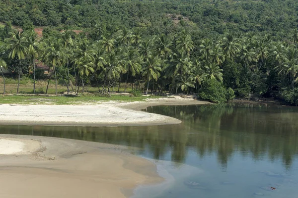 Kokosowe drzewa off Nivati Coast, Sindhudurg, Maharashtra, Indie — Zdjęcie stockowe