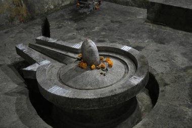 Vitthal Tapınağı, Palashi, Parner, Ahmednagar karşısında Shiva tapınağında Pindi ve Linga şeklinde Shiva Heykeli