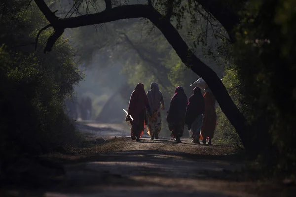 Ženy pro každodenní práce, reflexe, národní park Keoladeo Ghany, Bharatpur, Rádžasthan, Indie. — Stock fotografie