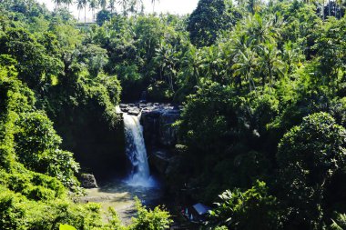 Yemyeşil ağaçlar Tegenungan şelale, Bali, Endonezya muhteşem bir görünüme kadar açık.