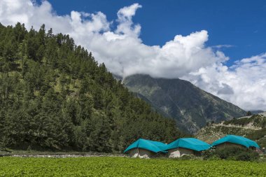 Tourist campsite at Chitkul, Himachal Pradesh, India clipart