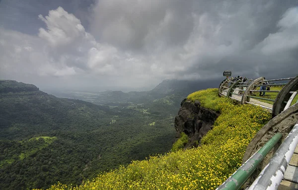 Maharashtra, Indie, září, 2013, turistka v Malshej Ghat za zamračený den se žlutými květy — Stock fotografie