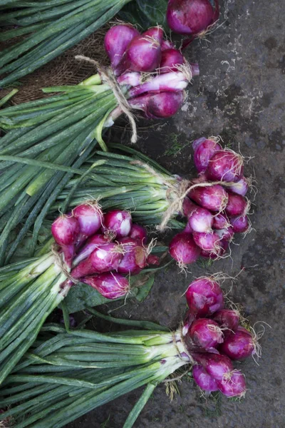 Klasar av vårlök, Allium fistulosum — Stockfoto