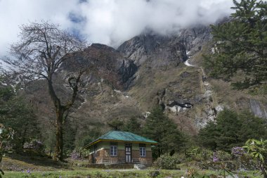 Yumthang Vadisi'ndeki dinlenme evi, Lachung, Sikkim, Hindistan