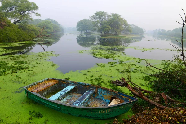 Canoa en el lago con musgo, Bharatpur, Rajastán, India — Foto de Stock