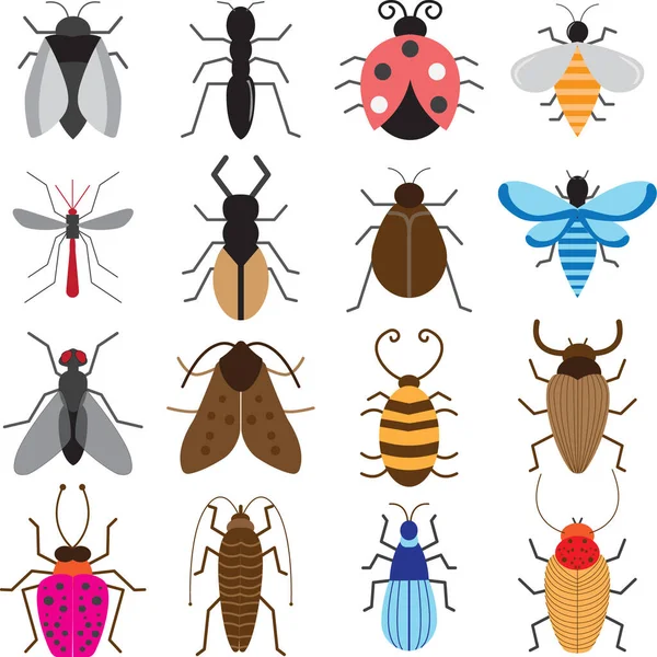 Colección Diferentes Tipos Insectos — Vector de stock