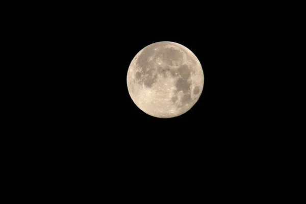 Flower Supermoon Opstår Når Fuldmåne Inden Procent Sin Nærmeste Afstand - Stock-foto