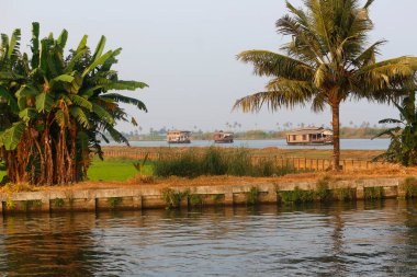 Palmiye ön planda yüzen tekneler, Allepey, Kerala, Hindistan