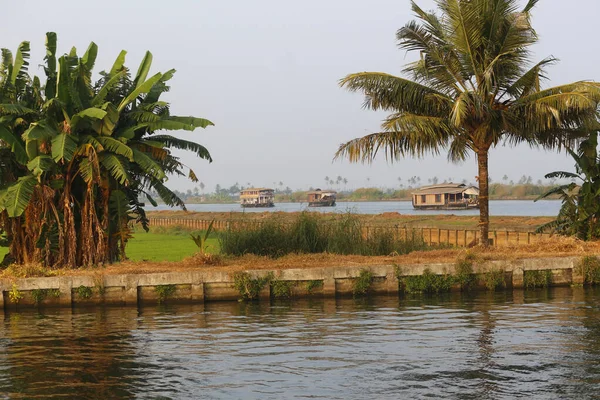 House Boats Cocouny Palm Foreground Allepey Kerala India — Stock Photo, Image