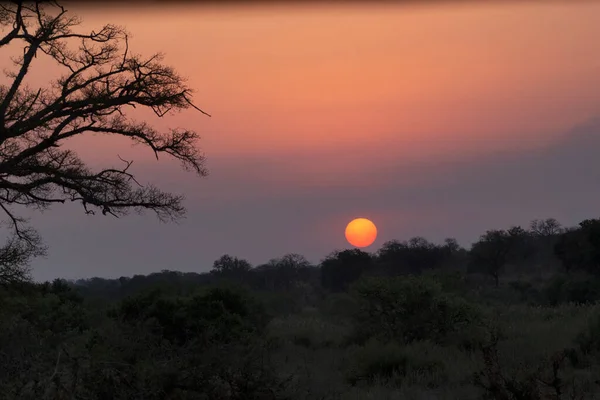 Vacker Solnedgång Kruger National Park Sydafrika — Stockfoto