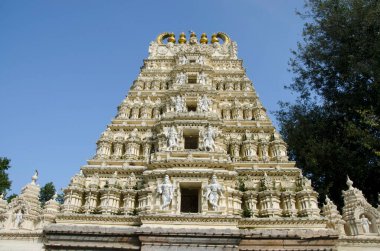 Mysore Sarayı 'ndaki oyulmuş tapınak tarihi bir saray ve kraliyet konutu Mysore, Karnataka, Hindistan