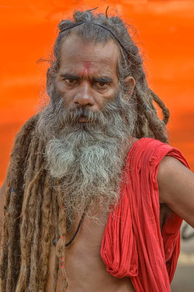Nasik Maharashtra Indie Września 2015 Naga Sadhu Bardzo Długim Portretem — Zdjęcie stockowe