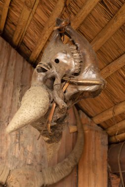Mithun kafatası Chakhesang kabile kulübesinde, Hornbill festivali Nagaland, Hindistan
