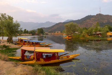 Srinagar, Kashmir, Hindistan, Temmuz 2016, Shikaras, küçük ahşap oymalı tekneler, Dal Gölü