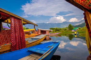 Srinagar, Kashmir, Hindistan, Temmuz 2016, Shikara 'dan küçük tahta oymalı bir tekne, Dal Gölü 