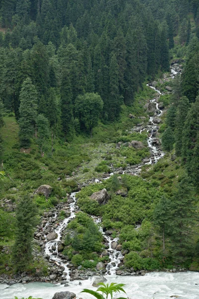 Jammu Kashmir Anantnag Bölgesi Aru Vadisi Ndeki Nehirde Akarsu Buluşması — Stok fotoğraf