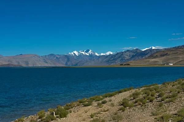Tso Moriri Vagy Mountain Lake Ladakh India Legmagasabban Fekvő Tavak — Stock Fotó